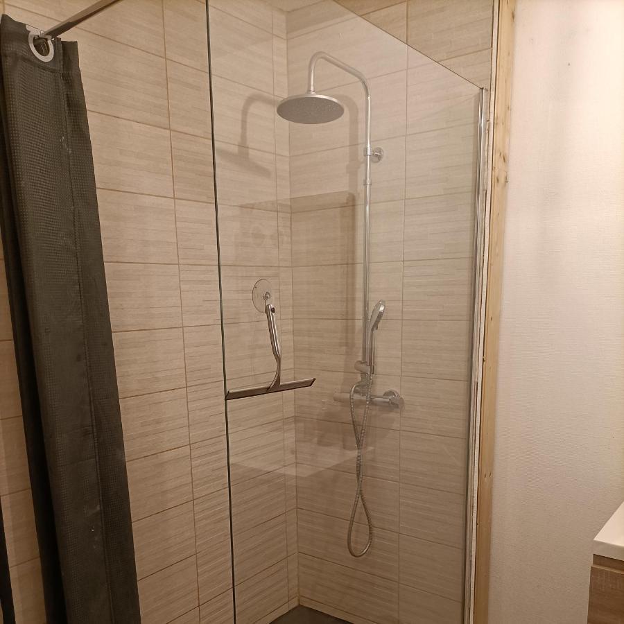 Appartement Tres Spacieux En Plein Coeur D'阿让 外观 照片